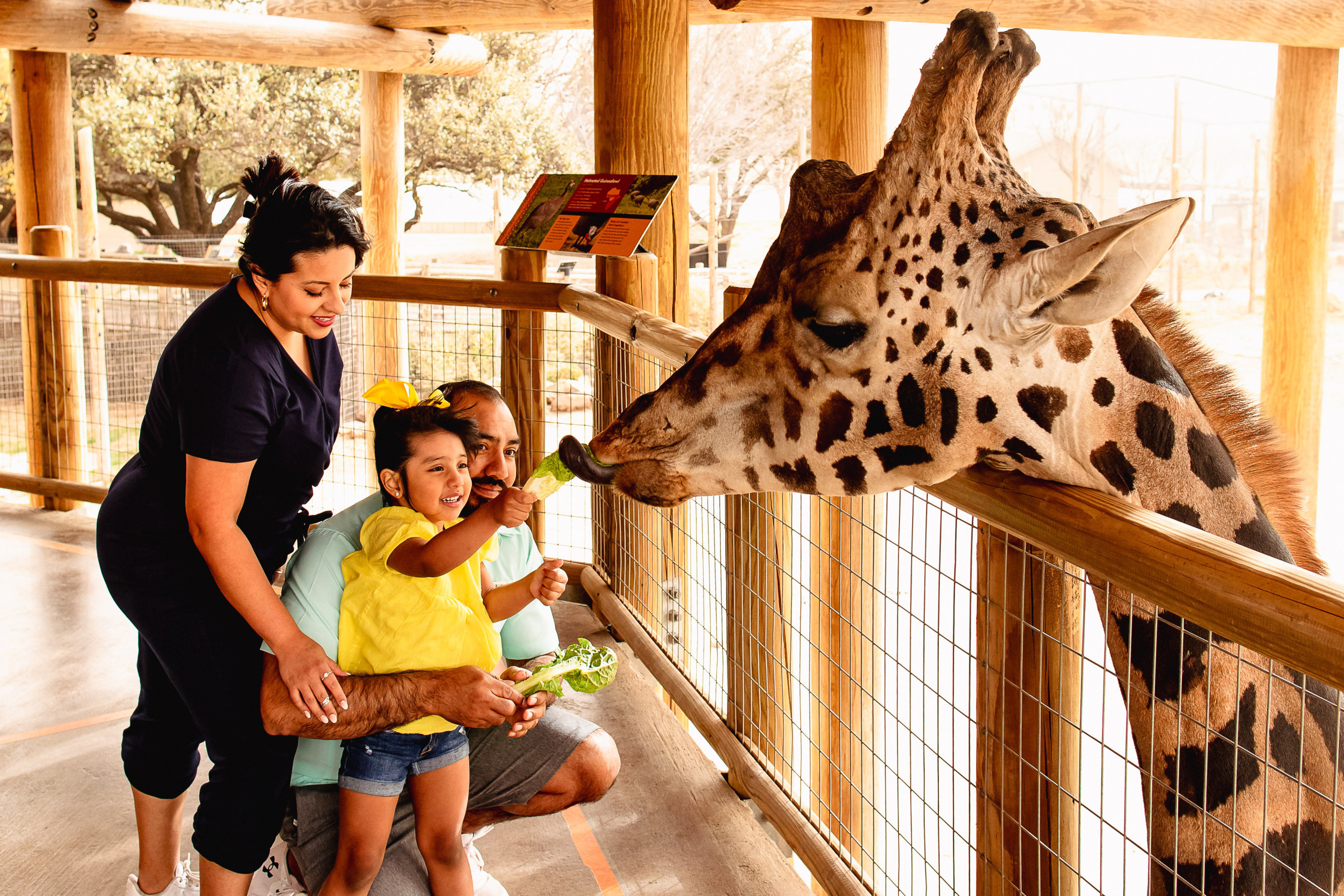 family interacting with giraffe at abilene zoo